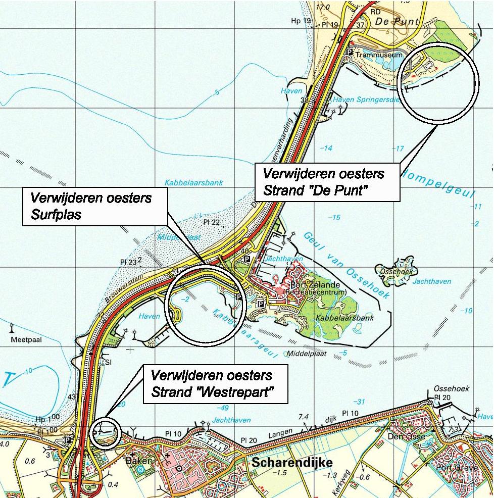 Aanpak Oesteroverlast Grevelingenmeer